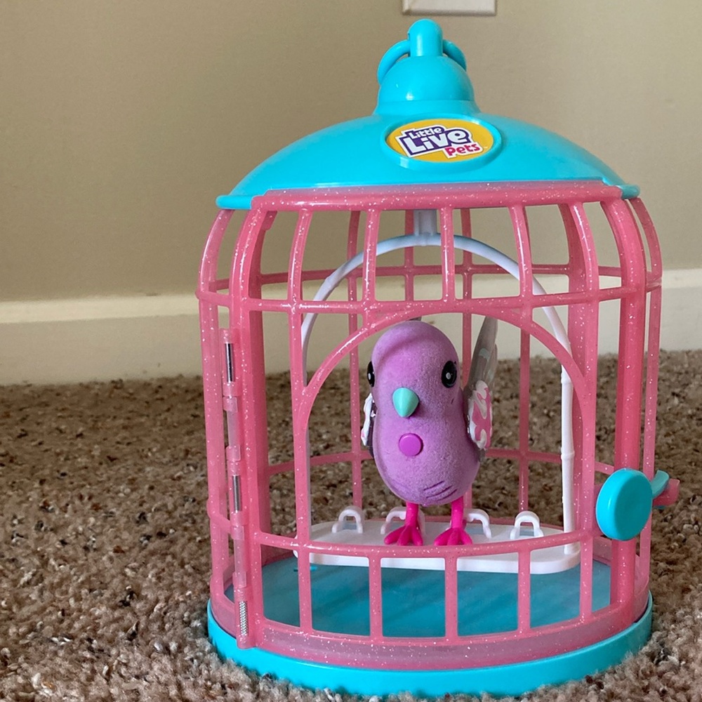 Little Live Pet Chirping Bird talks and lights up